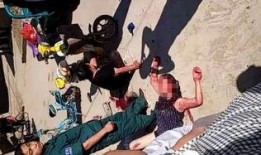 广宗吃瓜事件始末,一场网络热议背后的真相与反思