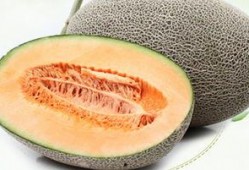 吃哈密瓜不吃切了吃,不切即食，尽享夏日清新