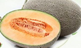 吃哈密瓜不吃切了吃,不切即食，尽享夏日清新