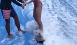 冲浪网友快乐吃瓜,揭秘网络热点背后的故事