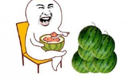吃瓜的季节又来了,跟随季节的脚步，畅享清凉美味