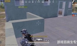 和平精英吃瓜避雷视频,吃瓜避雷指南，揭秘热门视频背后的真相