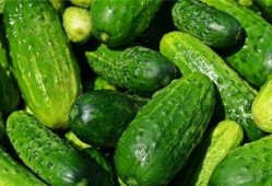 梦到吃黑瓜,揭秘黑瓜的神秘寓意