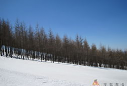 崇礼滑雪吃瓜,一场冰雪盛宴中的吃瓜奇观