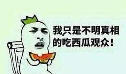 只做吃瓜群众,吃瓜群众视角下的娱乐圈风云录