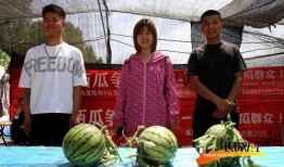 杭州吃瓜比赛,吃瓜比赛狂欢，瓜王争霸一触即发