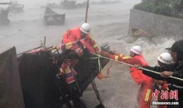 演习渔民吃瓜,吃瓜成为调节气氛的秘密武器