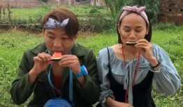 吃瓜比赛目的,吃瓜大赛，谁是瓜界王者？