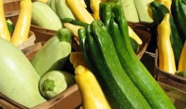 夏天吃瓜的歌,跟随歌曲感受清凉一夏