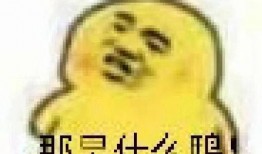 吃瓜罪表情包,揭秘网络时代的“围观”文化