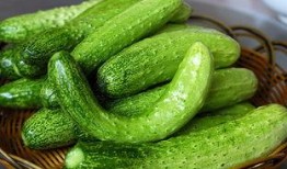 阿诺吃的什么瓜,阿诺的瓜界探险记