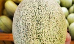 吃蜜瓜的照片,夏日甜蜜时光的定格