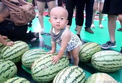 kpop吃瓜汇总2024,热点事件盘点与幕后揭秘