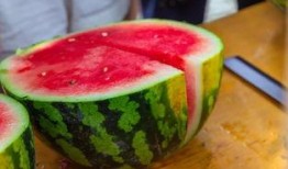 石家庄吃瓜大学,吃瓜大学生的麻辣观察记