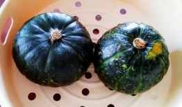 贝贝瓜的瓜囊可以吃吗,美味可口的天然美食探索