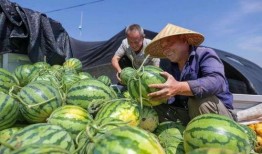 山西介休吃瓜事件视频,一场网络热议的真相追踪