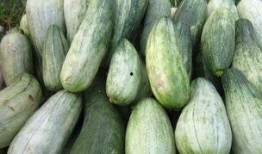 酥瓜怎么吃的,解锁夏日清新美味