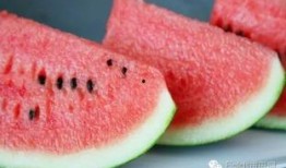 风儿吃瓜,夏日里的悠闲时光