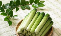 各种瓜吃瓜私,揭秘吃瓜私成的秘密世界