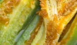 羊角蜜吃瓜视频,揭秘网红美食背后的甜蜜诱惑