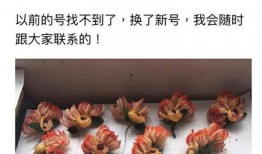 黑粉吃瓜总站,黑粉吃瓜总站独家爆料，明星幕后真相大曝光！