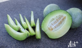 吃瓜里的瓜本身叫什么,揭秘“吃瓜群众”背后的神秘果实