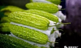 吃瓜35,一场关于美食与生活的深度对话