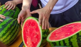 邯郸学院食堂吃瓜