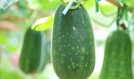 热总吃瓜,揭秘娱乐圈幕后风云