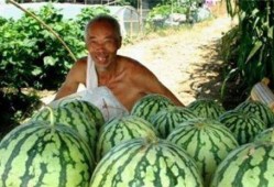 吃瓜路上吃瓜,品味人间百态