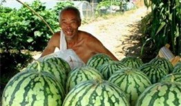 吃瓜路上吃瓜,品味人间百态