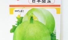 白殿疯可以吃小白瓜吗,白殿疯患者可安心食用的小白瓜探索