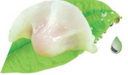 揉碎吃的瓜,探索揉碎食用的独特美味体验