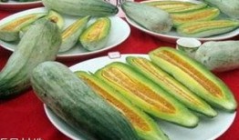 酥瓜怎么吃的,解锁夏日清新美味