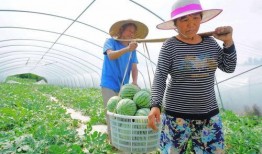 老人吃瓜群众图