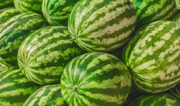 福州吃瓜星野,探寻美食与文化的交融之旅