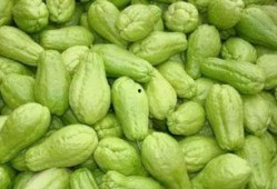吃瓜脸痒,背后的原因与应对策略