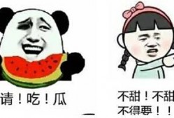 吃瓜都用什么网络用语,揭秘网络吃瓜用语背后的趣味与智慧
