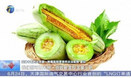 孕中期吃蜜瓜好不好,营养美味，孕妇滋补佳选