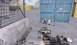 和平精英吃瓜避雷视频,吃瓜避雷指南，揭秘热门视频背后的真相