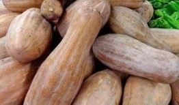 方瓜吃不晒干收藏,传统技艺与现代生活的完美融合