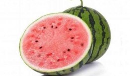 吃麒麟瓜是什么梗,网络热梗背后的美食传奇