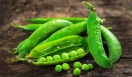 豆吃瓜,揭秘豆类与瓜类食材的奇妙搭配与营养奥秘