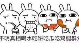 吃瓜群众路1,揭秘吃瓜群众的狂欢盛宴