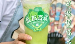 瓜雪必吃,美味必尝的夏日清凉美食之旅