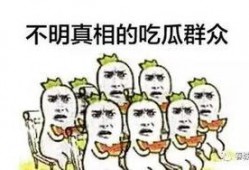 只做吃瓜群众,吃瓜群众视角下的娱乐圈风云录