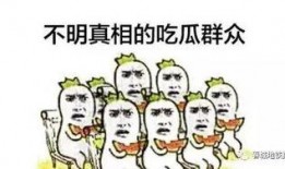 只做吃瓜群众,吃瓜群众视角下的娱乐圈风云录