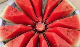 杭州吃瓜比赛,吃瓜比赛狂欢，瓜王争霸一触即发