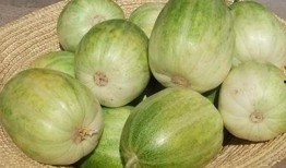 香瓜弟弟 今日吃瓜,揭秘娱乐圈新鲜事