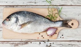 带你吃瓜解说鱼类,揭秘鱼类的多样世界